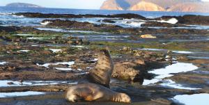 M/C ANAHI: Galápagos-Inseln intensiv