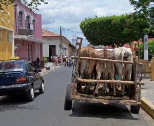 Nicaragua - Auf den Spuren von Mark Twain